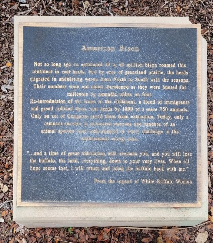 American Bison Marker. Click for full size. American Bison Marker image. Click for full size.