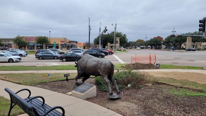 The view of American Bison and Marker along the intersection image. Click for full size.