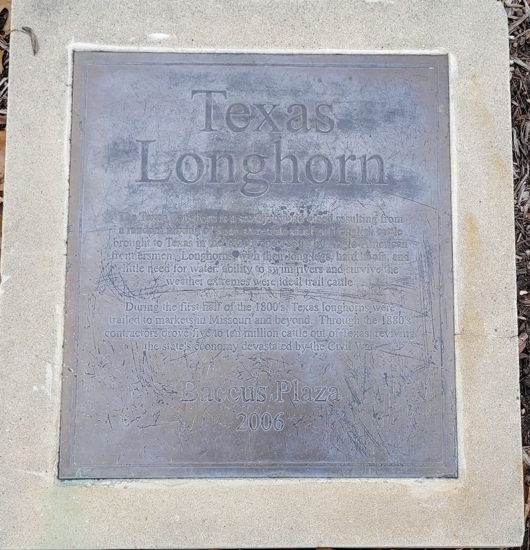 Texas Longhorn Marker image. Click for full size.