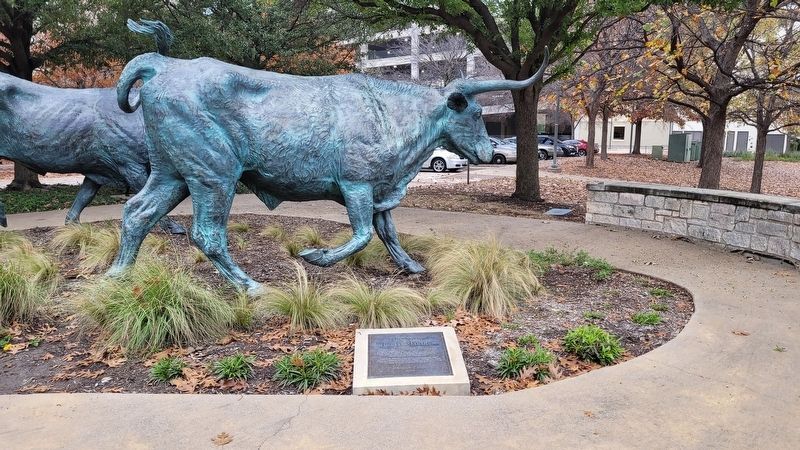 The Texas Longhorn and Marker image. Click for full size.