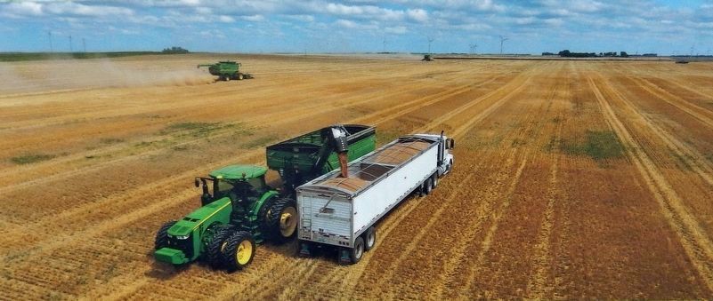 Marker detail: Wheat Harvest. Click for full size. Marker detail: Wheat Harvest image. Click for full size.