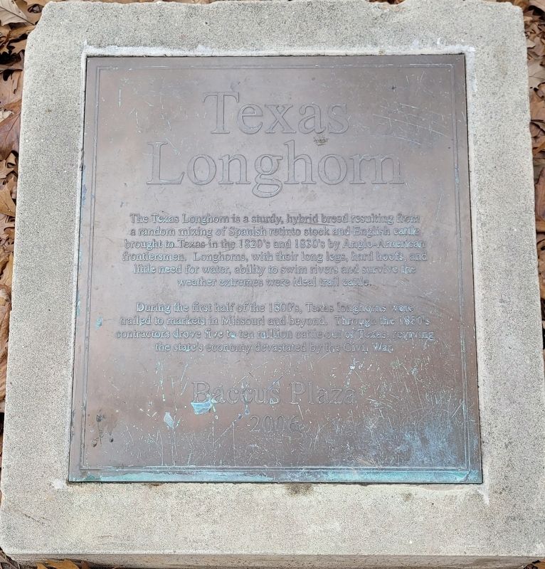 Texas Longhorn Marker image. Click for full size.
