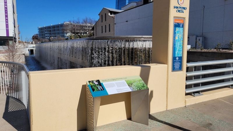 The New Blossoming of San Pedro Creek Marker next to the waterfalls in the park image. Click for full size.