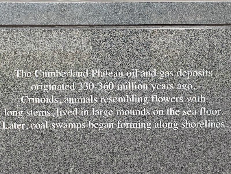 Tennessee development 330-360 million years ago Marker. Click for full size. Tennessee development 330-360 million years ago Marker image. Click for full size.