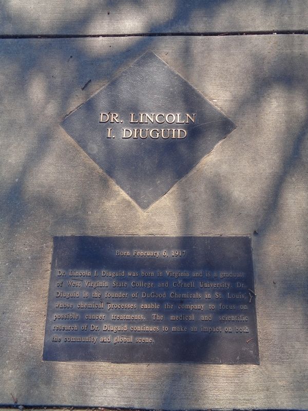 Dr. Lincoln I. Diuguid Marker image. Click for full size.