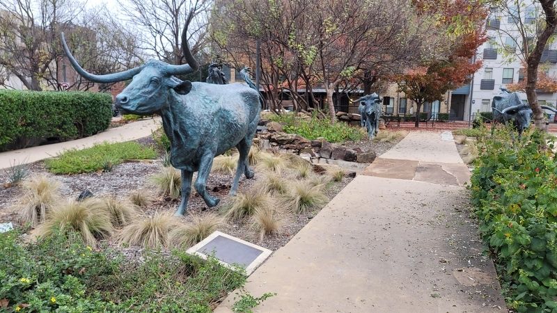 The Texas Longhorn Statue and Marker image. Click for full size.