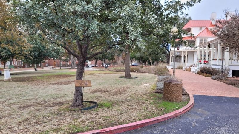 The Brackenridge Villa Memorial next to a tree. Click for full size. The Brackenridge Villa Memorial next to a tree image. Click for full size.