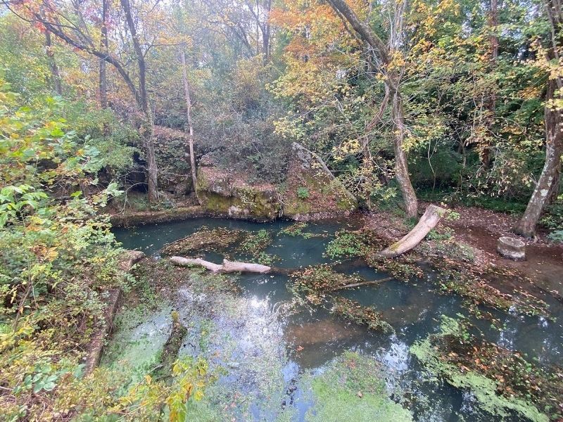 Murfree Spring. Click for full size. Murfree Spring image. Click for full size.