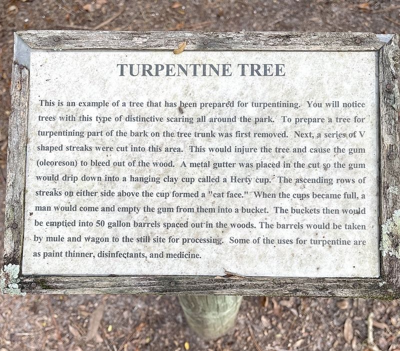 Turpentine Tree Marker image. Click for full size.
