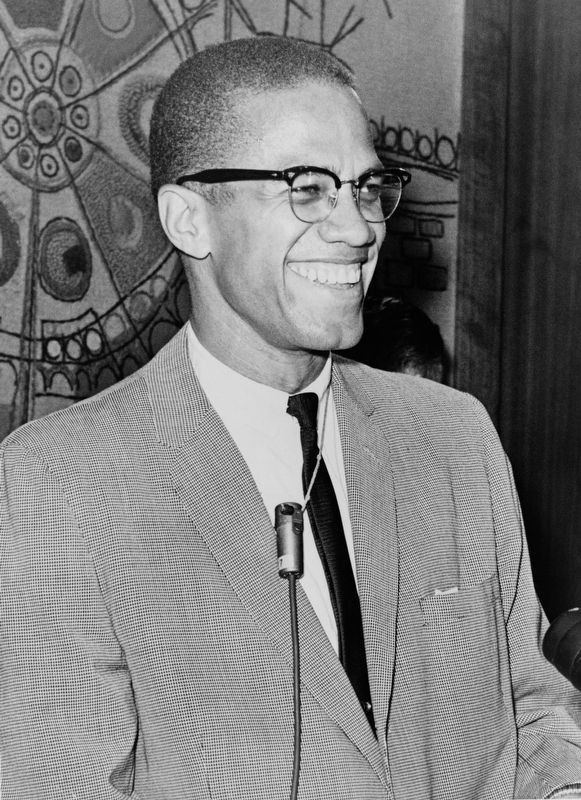 Malcolm X image. Click for full size.