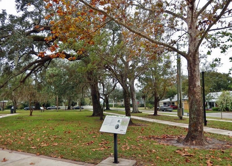 Martin Luther King, Jr. Grove Marker. Click for full size. Martin Luther King, Jr. Grove Marker image. Click for full size.