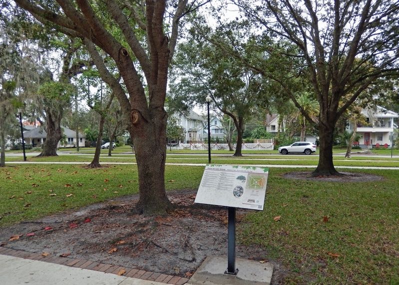 Ponce de Le�n Grove Marker image. Click for full size.