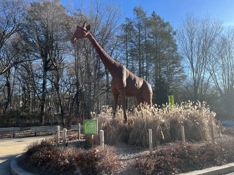 The Giraffe Sculpture, and the Marker. Click for full size. The Giraffe Sculpture, and the Marker image. Click for full size.
