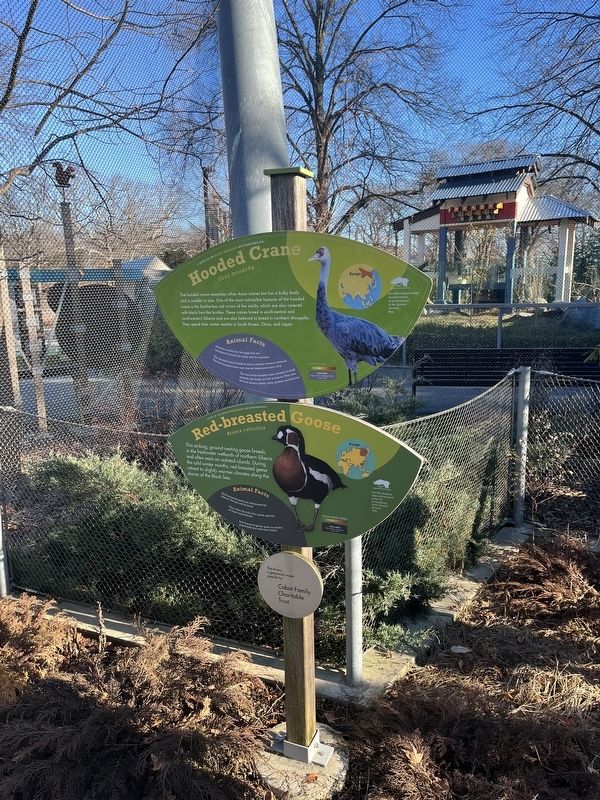 Hooded Crane Marker. Click for full size. Hooded Crane Marker image. Click for full size.