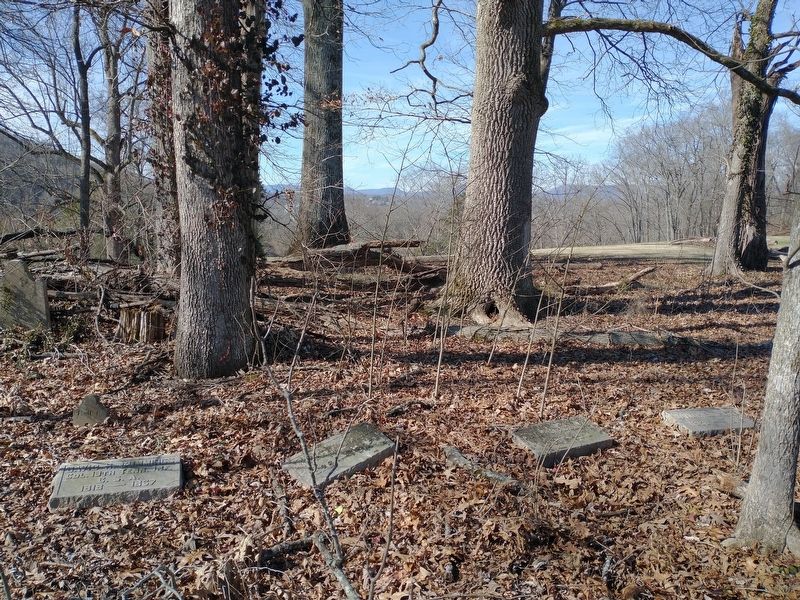 Cummings Family Plot - Young-Cummings Cemetery image. Click for full size.