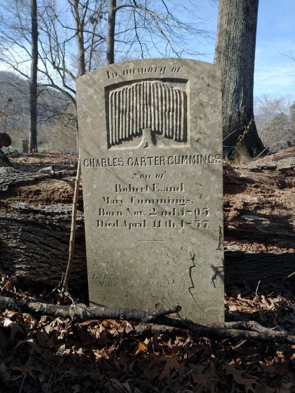 Cummings Family Plot - Young-Cummings Cemetery image. Click for full size.