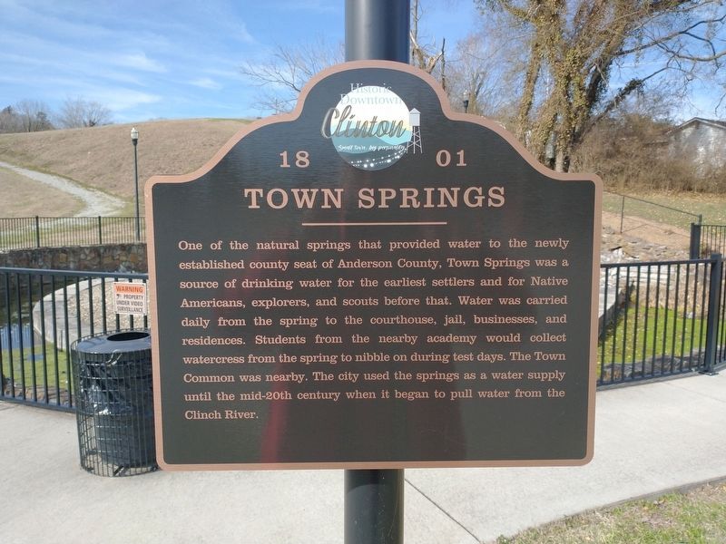 Town Springs Marker image. Click for full size.