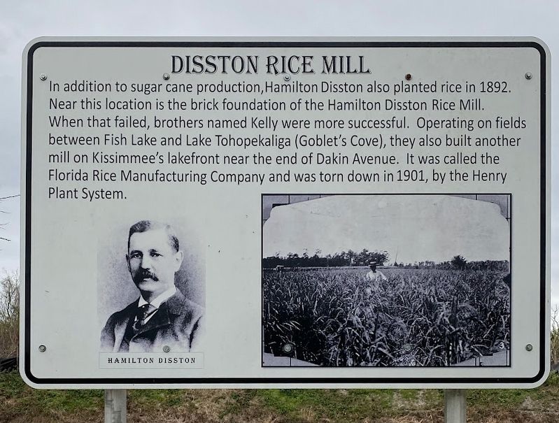Disston Rice Mill Marker. Click for full size. Disston Rice Mill Marker image. Click for full size.
