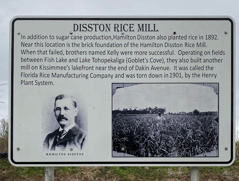 Disston Rice Mill Marker image. Click for full size.