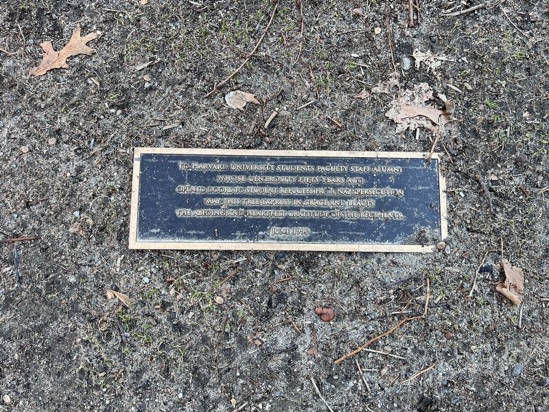 To Harvard University students faculty staff alumni
Marker. Click for full size. To Harvard University students faculty staff alumni
Marker image. Click for full size.