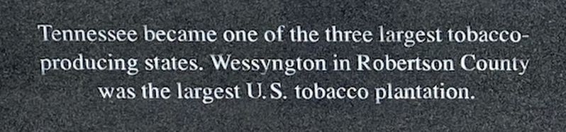 Tennessee and tobacco production Historical Marker