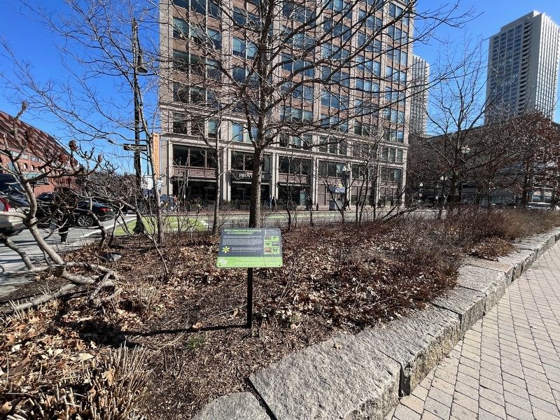 Pollinator Garden on the Greenway Marker. Click for full size. Pollinator Garden on the Greenway Marker image. Click for full size.