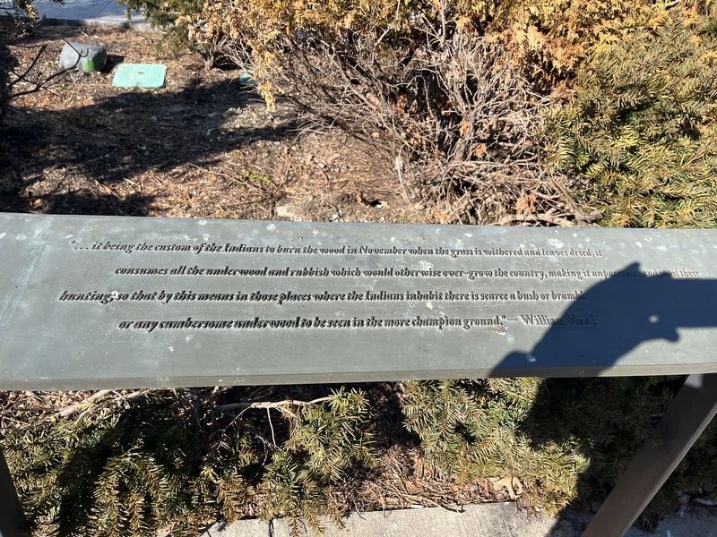 Boston Timeline Marker image. Click for full size.