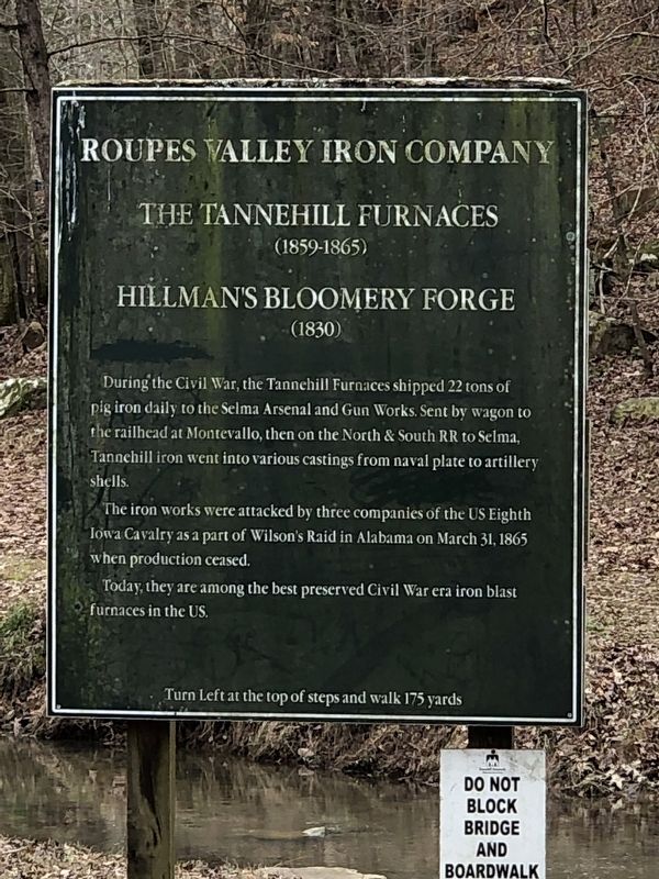 Roupes Valley Iron Company Marker image. Click for full size.