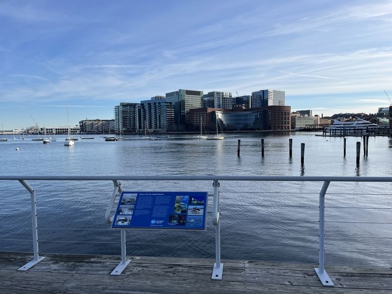 History of the New England Aquarium Marker image. Click for full size.
