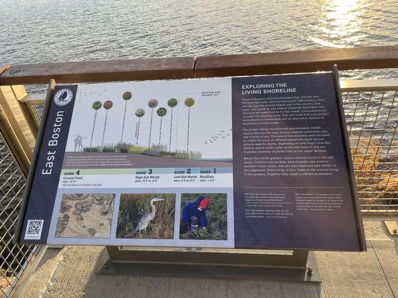Exploring the Living Shoreline Marker image. Click for full size.