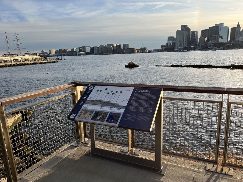 Exploring the Living Shoreline Marker image. Click for full size.