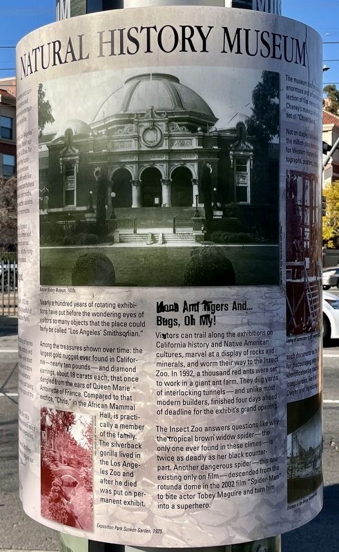 Natural History Museum Marker image. Click for full size.