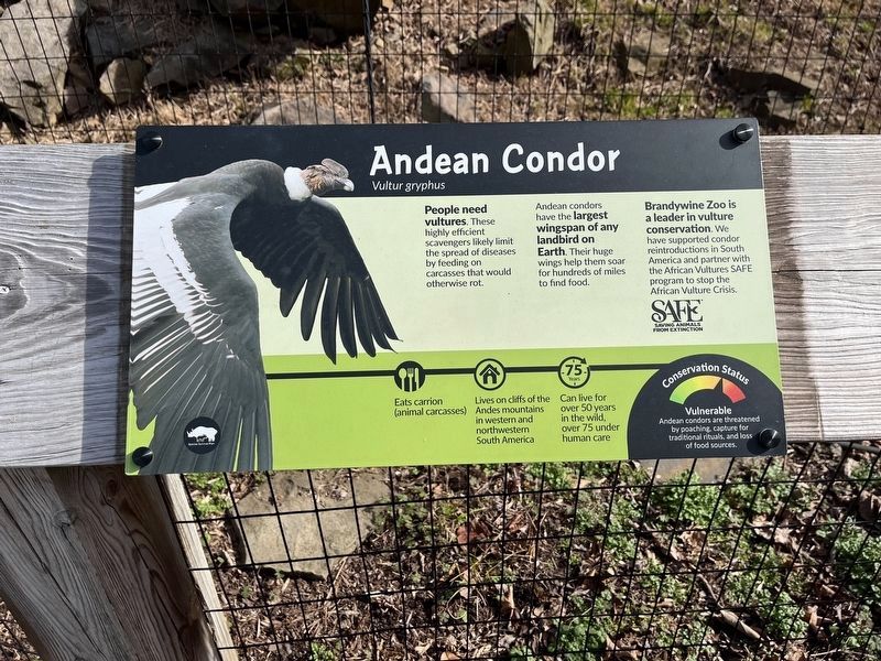 Andean Condor Marker image. Click for full size.