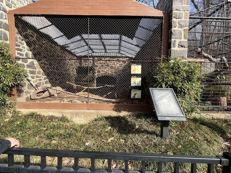 Chickens breeds exhibit image. Click for full size.