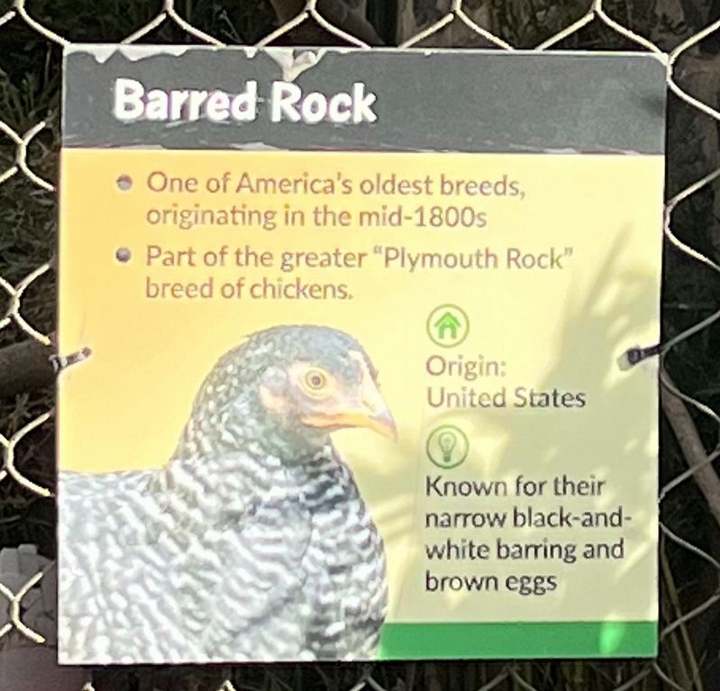 Barred Rock Marker image. Click for full size.