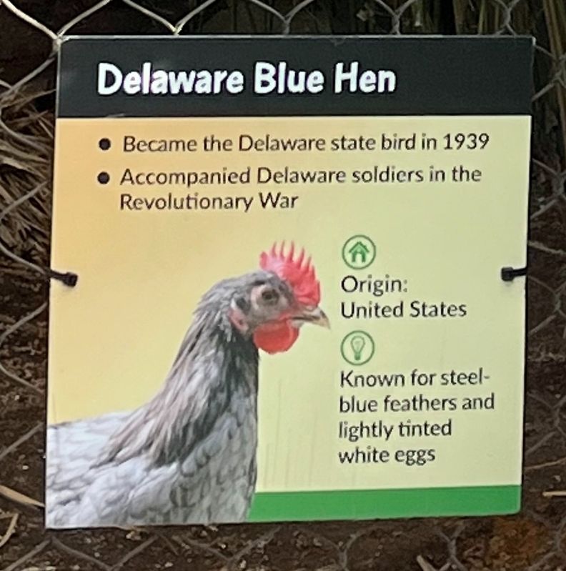 Delaware Blue Hen Marker image. Click for full size.