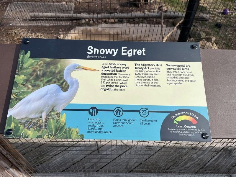 Snowy Egret Marker image. Click for full size.