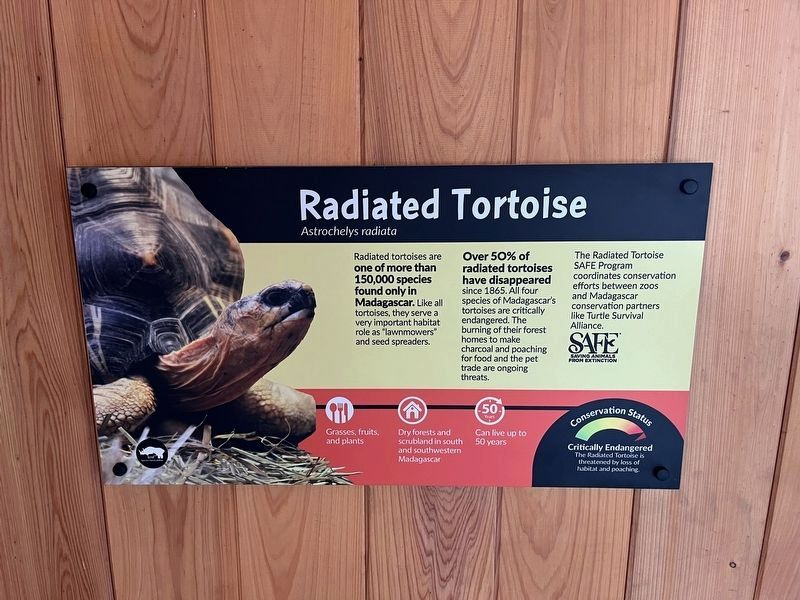 Radiated Tortoise Marker. Click for full size. Radiated Tortoise Marker image. Click for full size.