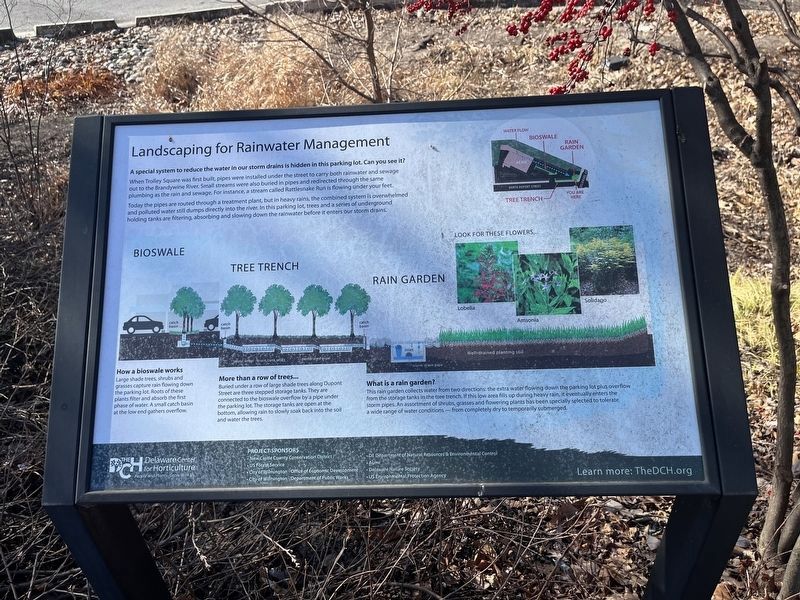Landscaping for Rainwater Management Marker. Click for full size. Landscaping for Rainwater Management Marker image. Click for full size.