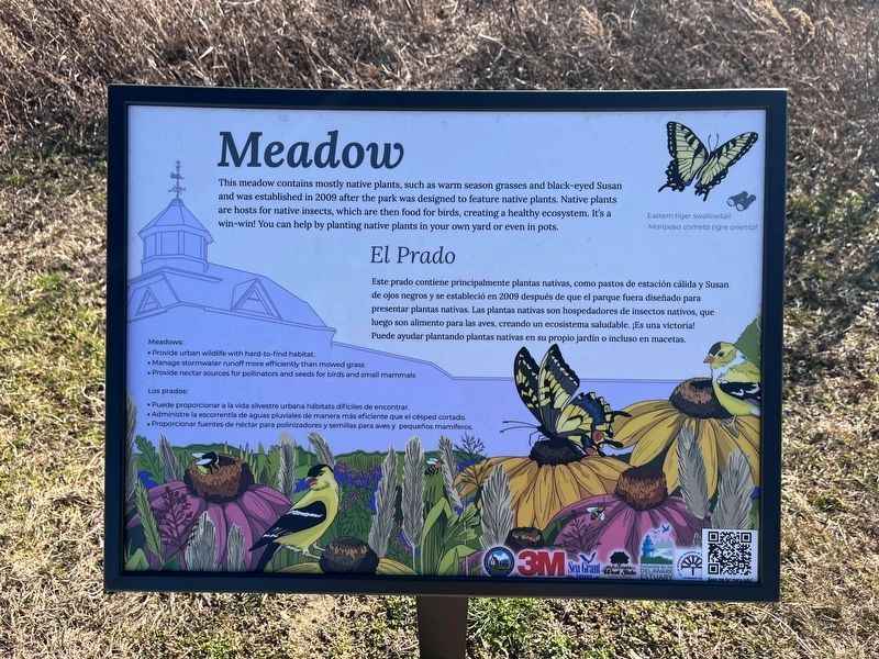 Meadow Marker image. Click for full size.