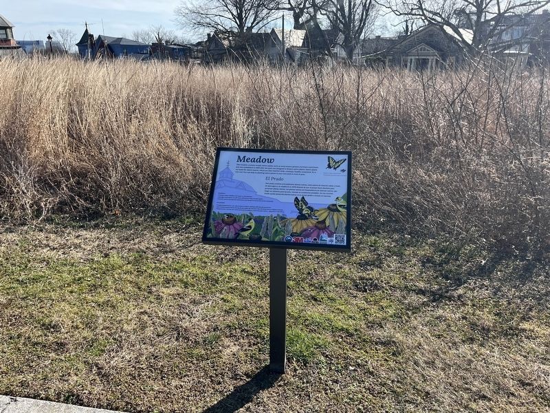 Meadow / El Prado Marker. Click for full size. Meadow / El Prado Marker image. Click for full size.