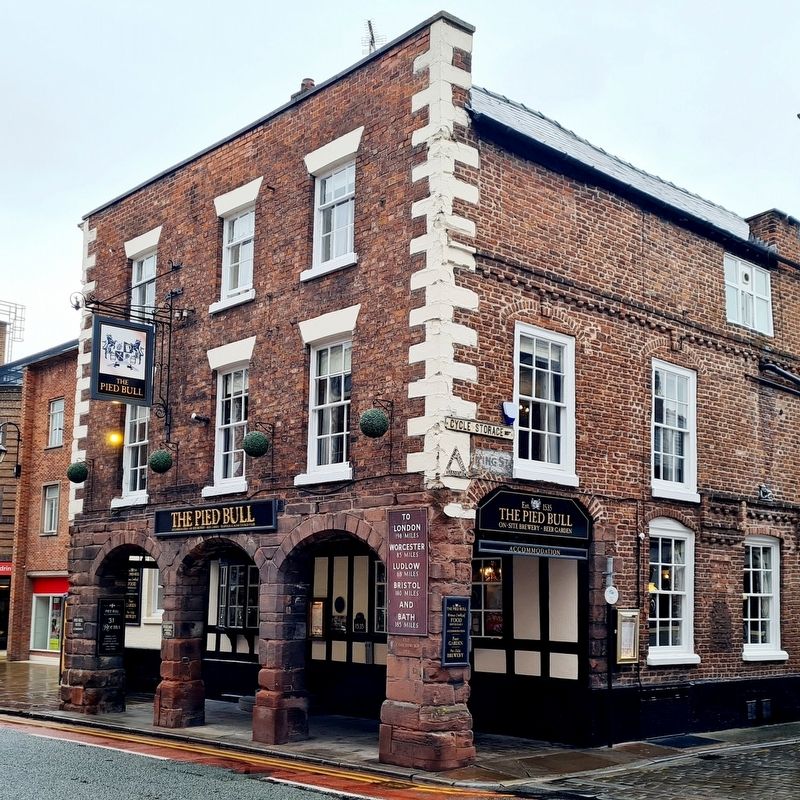 The Pied Bull image. Click for full size.