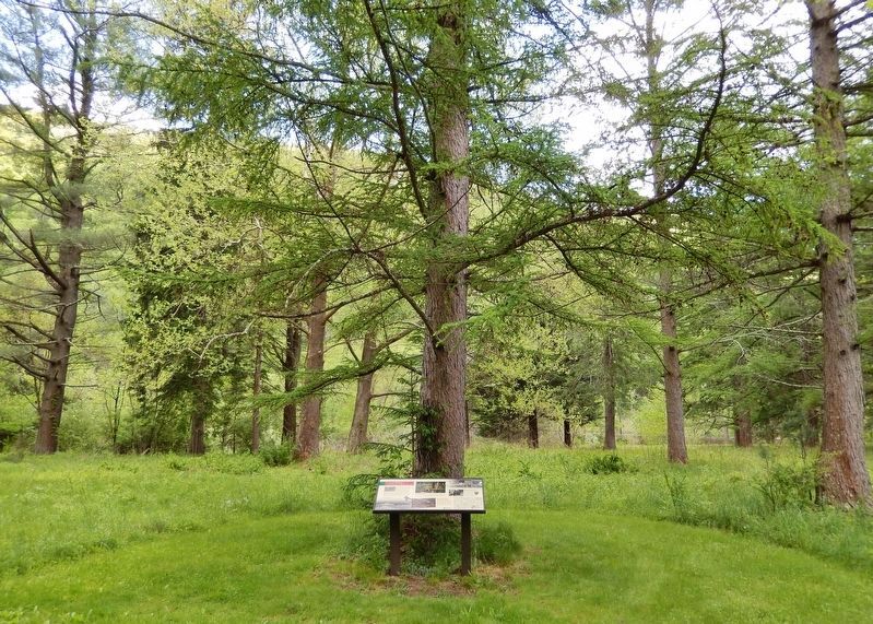 Camp Kline Marker. Click for full size. Camp Kline Marker image. Click for full size.