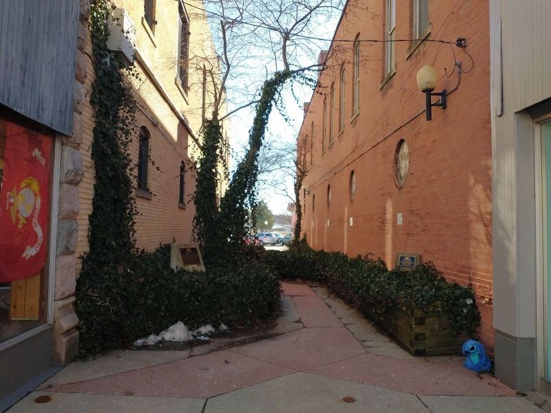 Cornell Alley image. Click for full size.