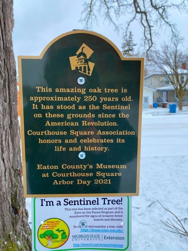 Eaton County Courthouse Sentinel Tree Marker. Click for full size. Eaton County Courthouse Sentinel Tree Marker image. Click for full size.