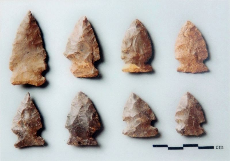 Brewerton side-notched projectile points<br>ca. 3000-2500 BC image. Click for full size.