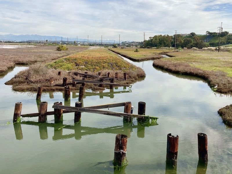 Ballona Wetlands. Click for full size. Ballona Wetlands image. Click for full size.