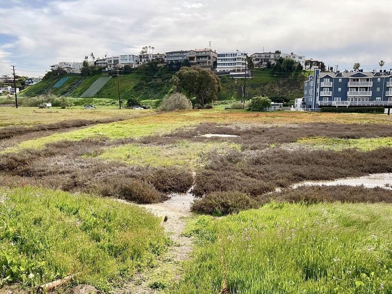 Ballona Wetlands image. Click for full size.