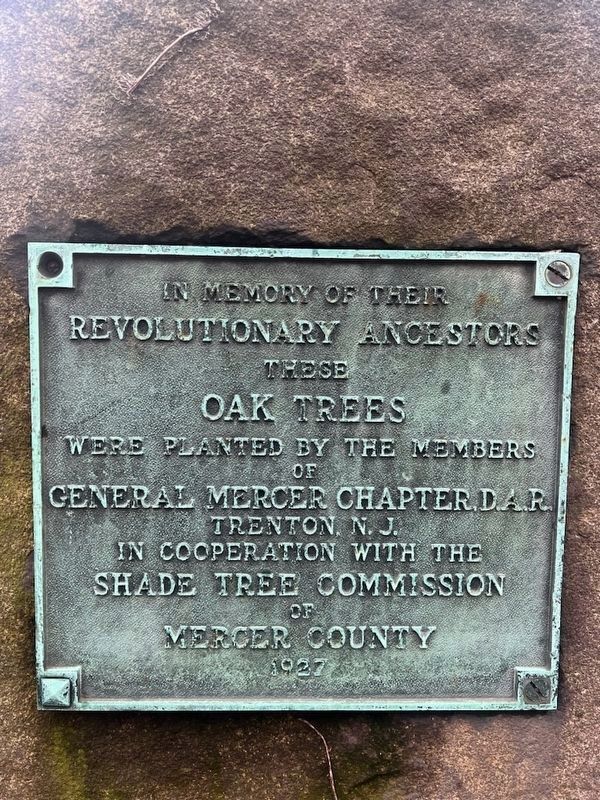 In Memory of their Revolutionary Ancestors Marker. Click for full size. In Memory of their Revolutionary Ancestors Marker image. Click for full size.