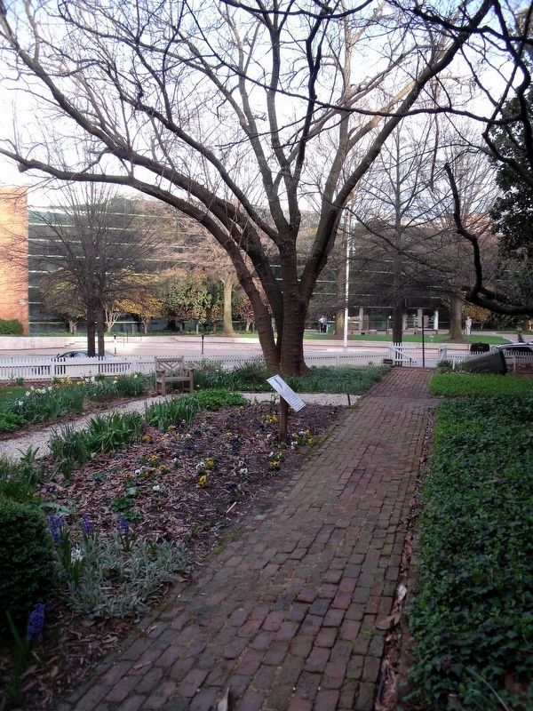 John Marshall House Garden. Click for full size. John Marshall House Garden image. Click for full size.